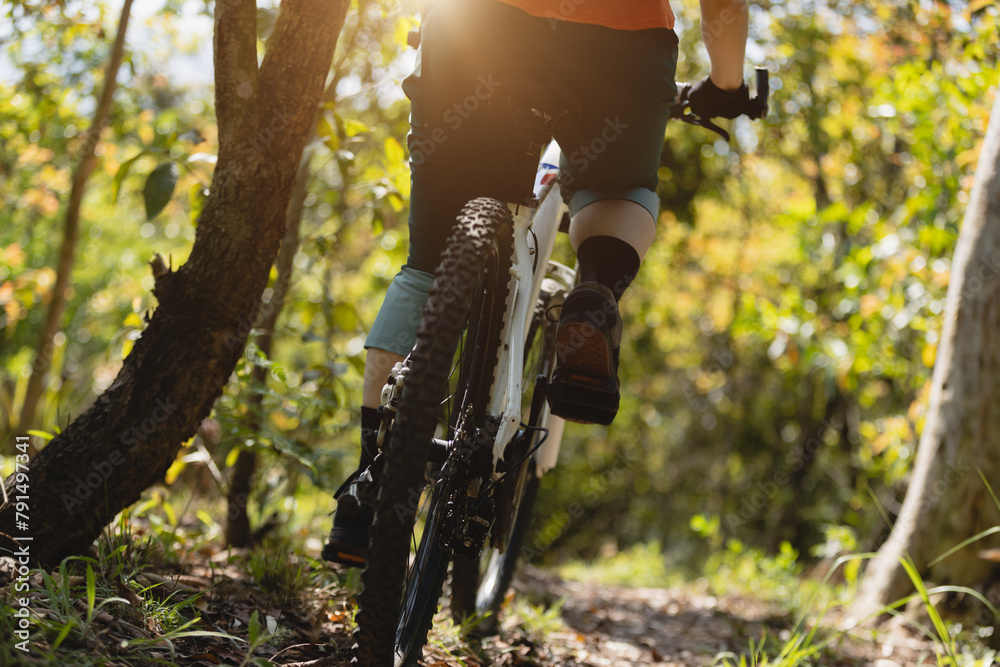 Wall mural mountain biking on spring forest trail