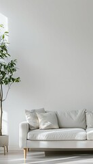 Airy white wall empty room with plants arranged on the floor, infusing space with natural freshness