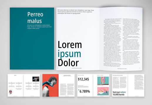 Brochure with a Visually Engaging and Easily Digestible Format
