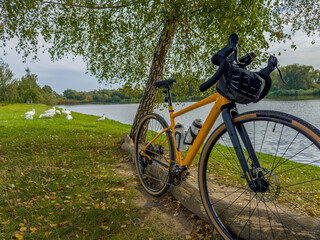 Gravel bicycle in the city park on the summer season