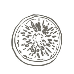 Illustration elements food vegetable cruise color art line painting drawing 