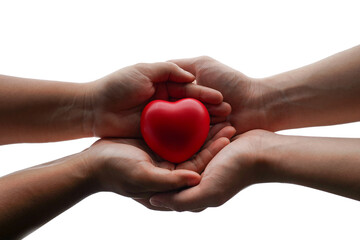 red heart in adult hands isolated with clipping path on background, health care, organ donation,...