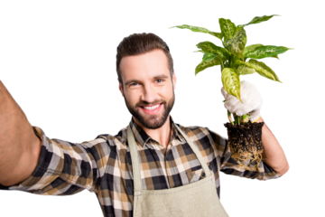 Self portrait of cheerful joyful florist with stubble shooting selfie on front camera during break, rest, pause, showing house diffenbachia with soil, isolated on grey background