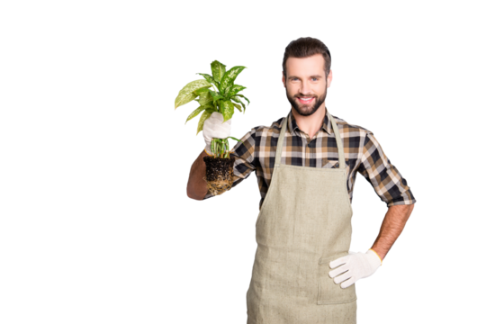 Portrait with copy space, empty place of attractive handsome florist with stubble  having, showing, demonstrate house plant with soil looking at camera isolated on grey background