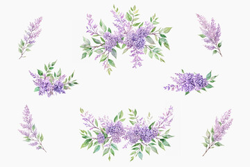 Set of Watercolor purple Lilac, Lilac flower Decoration for Mother's day card, weddings, wedding designs, wedding invitation.