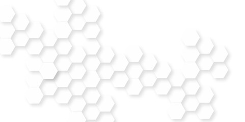 Abstract background with hexagon, modern abstract vector polygonal pattern. Futuristic abstract honeycomb technology white background. Luxury white hexagon pattern.