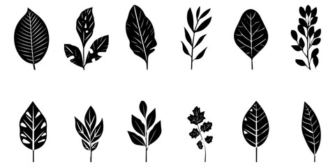 Abstract vector leaves set, on a white background