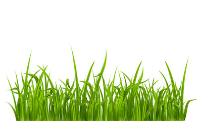 Bright green realistic seamless grass border isolated on transparent background