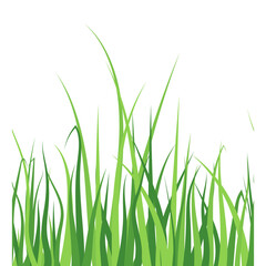 Green realistic seamless grass silhouette isolated on transparent background