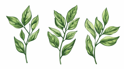 leaves green icon logo fresh nature vector illustrati