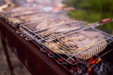 Close-up of fish on the bars. Cooking juicy tasty roasted pieces of fish on coals. Delicious fresh...