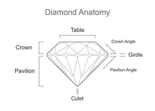 Diamond cut anatomy, parts and their names. Outline icon with editable stroke. Vector illustration