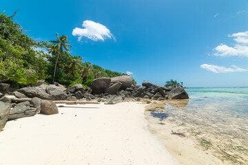 White sand, rocks and palms in a tropical beach