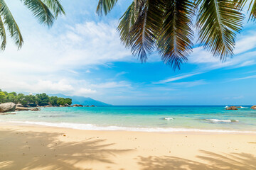 Palm trees and golden sand in a tropical beach in Seychelles