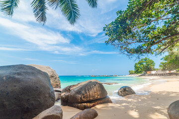 Rocks, sand and palm trees by the sea in a tropical beach