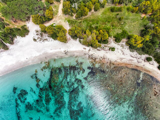 Drone view of a beach with turquoise water and green plants