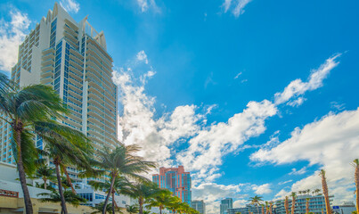 Skyscrapers and palm trees in Miami Beach