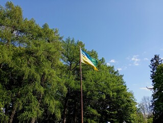 A blue and yellow flag flies against a background of green trees under a clear blue sky. Ukrainian...