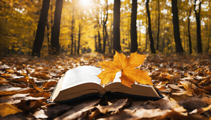 Creative Picture, Autumn sparkling tree forest with beautiful fallen leaves, the cross of Jesus Christ and the Bible
