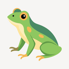 Frog flat vector illustration, a frog vector art illustration white background