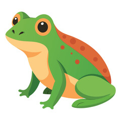 Frog flat vector illustration, a frog vector art illustration white background