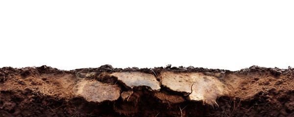 Cross section cut out of isolated dry soil