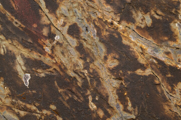 A macro shot of a rock at a close distance. Showing extreme detail and minerals that are in the rock.
