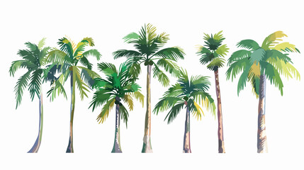 Palm trees isolated. Vector flat style illustration 