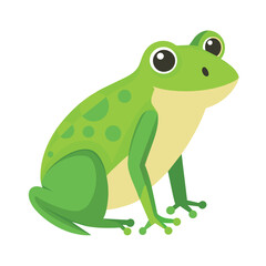 Frog flat vector illustration, a frog vector art illustration white background