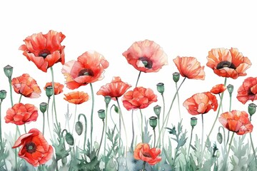 watercolor of poppy flowers frame,botanical border, organic shape decorated,intricate detailed,white background. ai generated