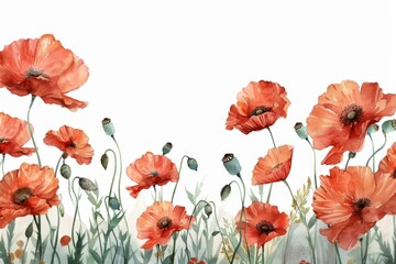 watercolor of poppy flowers frame,botanical border, organic shape decorated,intricate detailed,white background. ai generated