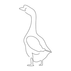 Continuous one single line art drawing of pet animal duck concept outline vector illustration.