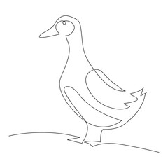 Continuous one single line art drawing of pet animal duck concept outline vector