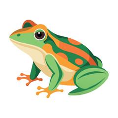 Frog flat vector illustration, a frog vector art illustration white background