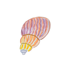 shell sea 