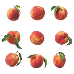Collection of peaches transparent background