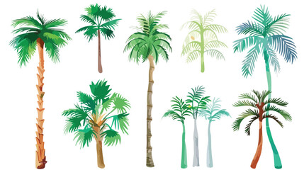 Palm trees isolated. Vector flat illustration Hand dr - obrazy, fototapety, plakaty