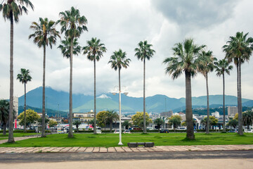 palm trees in the foreground and mountains in the background against a cloudy sky.