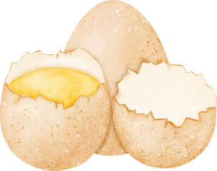 Eggs Watercolor