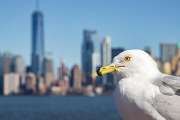 Lower Manhattan skyline in New York City (USA)