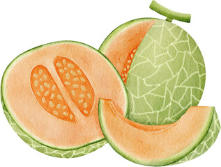 Japanese Melon Watercolor