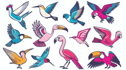 Birds icons collection. Vector collection of exotic background