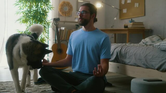 A young man sits in the lotus position and meditates in the morning in his bedroom while his dog walks and sniffs around