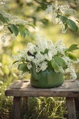 Still-life. A teapot with a bouquet of white flowers.