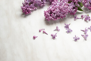 Lilac flowers on white marble background. Spring flat lay banner. Valentine's, womens, mothers day, birthday or wedding concept. Top view. Copy space.