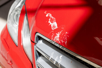 Bird droppings on the rear windshield of a car, highlighting the need for regular vehicle...