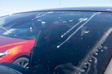 Bird droppings on the rear windshield of a car, highlighting the need for regular vehicle...
