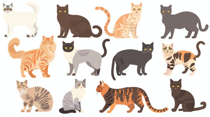 Cats icons collection. Vector collection of different