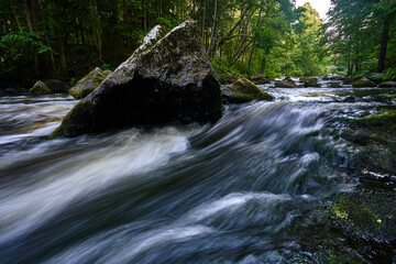 Summer evening in river