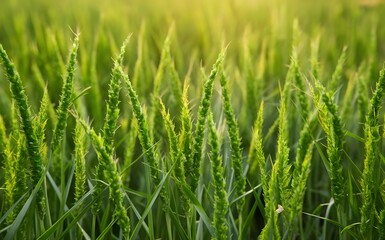 Fototapeta premium Tree with green leaves nature background Generative Ai